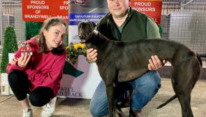 Derry Greyhounds: Sizzling performance by Kenyan Flame in Bart Teague Memorial Oaks