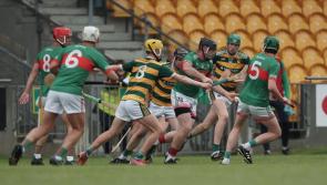Birr find best form to show disappointing Ballinamere the exit signs