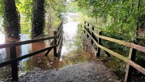Flooding cuts off park of popular forest walk