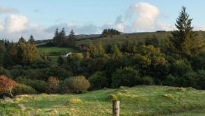 Planning permission granted for Drumnahough Wind Farm near Letterkenny