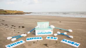 Clean Coasts offering environmental workshops to schools in Dunleer