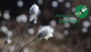 Focus your lens on the new Laois bog calendar for 2023