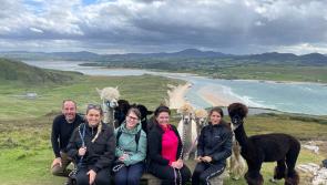 Over one million people to read about Inishowen