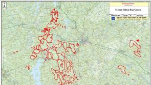 ESB's Longford bog plan 'incomplete application'