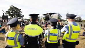 Electric Picnic assault victim will need a brain scan every year for life, Laois court told 