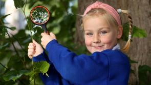 Primary Schools in Louth are asked to ‘Root for Nature’ and plant a tree 