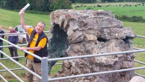 Historic 17th century Offaly glasshouse is a unique treasure
