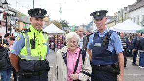 There will be over 140 stalls at Glenties Harvest Fair this year