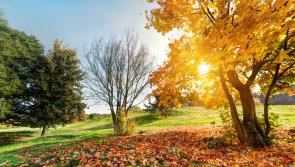 Ireland Weather: What is the weather forecast for Ireland for the weekend?