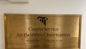 Teen pleads guilty to assaulting three gardaí in violent altercation