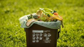 15,000  food waste recycling packs to be distributed  - Kilkenny Live