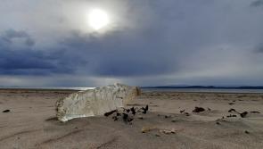 Councillors' defend coastal litter cleaning efforts in wake of harsh report