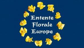 Roscommon village wins Gold at European Entente Florale 
