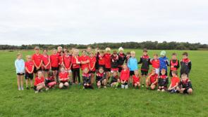 Offaly Intermediate Cross Country Championships
