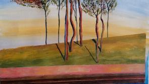 Fragments of Landscapes open at St Luke's Hospital in Kilkenny