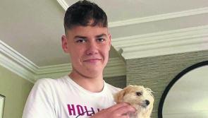 Rocco McGinley's family appeal for help to find Dublin accommodation