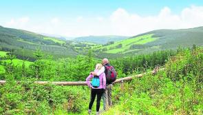 Great Laois asset hit by traffic jams and speed on narrow roads