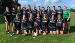 Goals decisive for Naomh Brid