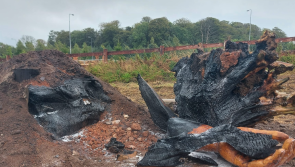 Waterford Gardaí investigate destruction of wooden sculpture