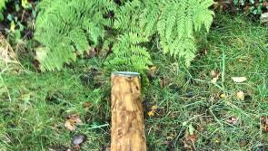 Anger as Muff Greenway project vandalised