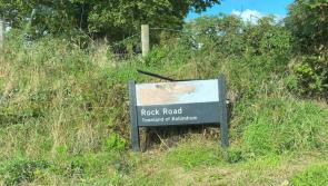 County Derry vandalism demonstrates 'intolerance and bigotry'