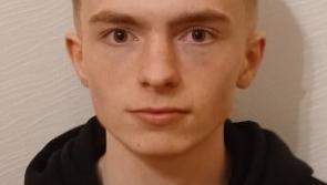 Midlands Gardai renew appeal on teen missing a month