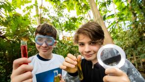 Waterford students invited to compete for EirGrid climate award