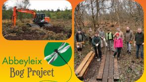 New chapter of rehabilitation works on saved Laois gem 