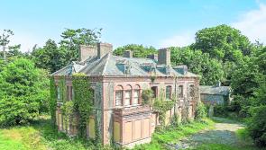  Limerick billionaire to spend millions to turn derelict mansion into 'spectacular home'