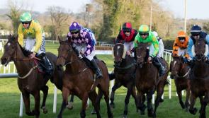 Offaly winner scoops horse racing bonanza off small wager
