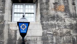 Gardai in Offaly arrested 14 people in one day this week during day of action across the county 