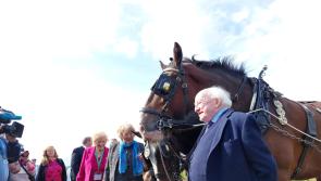 Ratheniska success sees ploughing confirmed for Laois return
