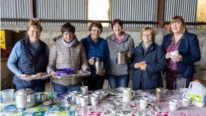 IN PICTURES: Successfully Ploughing Laois for a decade  