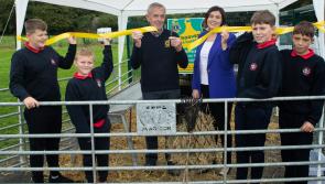 Offaly school rearing two calves for Midlands hospice fund-raising campaign