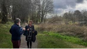 Two thirds of Offaly's rivers now polluted