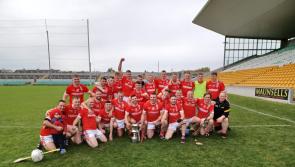 Impressive Edenderry claim junior hurling honours