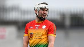 Carlow hurlers named on Joe McDonagh Team of the Year