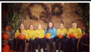 Knockbridge Brownies visit Corderry Fruit Farm pumpkin patch