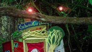 Samhain events at Strokestown Park
