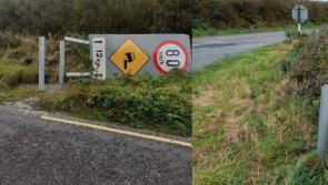 SERIAL CUTTER: Gardai investigating seriously bizarre crime wave near Waterford border