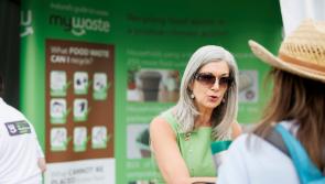 Savour Kilkenny promotes 'positive action' in reducing environmental impact