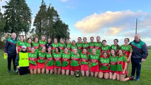 Birr Camogie Club celebrate another title success in a great year for club
