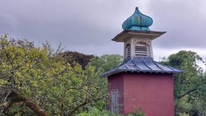 Legacy of outstanding gardener will live on in Shinrone