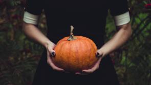 TIPPERARY POLL:  Are you celebrating Halloween this weekend? 