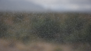 WATERFORD WEATHER: Long dry spells with patchy drizzle