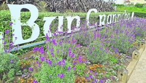 Buncrana is Donegal's tidiest town with national awards for Dungloe and Castlefin