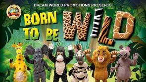 Interactive family show ‘Born to be Wild’ at An Táin in Dundalk