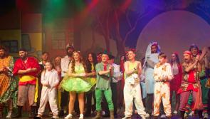 Carrick-on-Suir Musical Society's panto made a triumphant return to the stage
