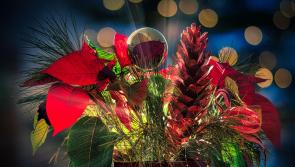 Thurles District Flower and Garden Club to hold their Christmas Gala flower demonstration next week