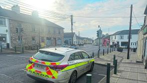 Gardaí look to make progress in north Longford assault probe 
